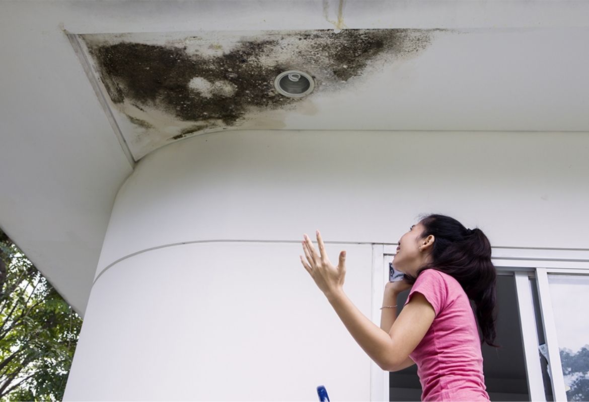 Wall Dampness seepage waterproofing Contractors in Bangalore